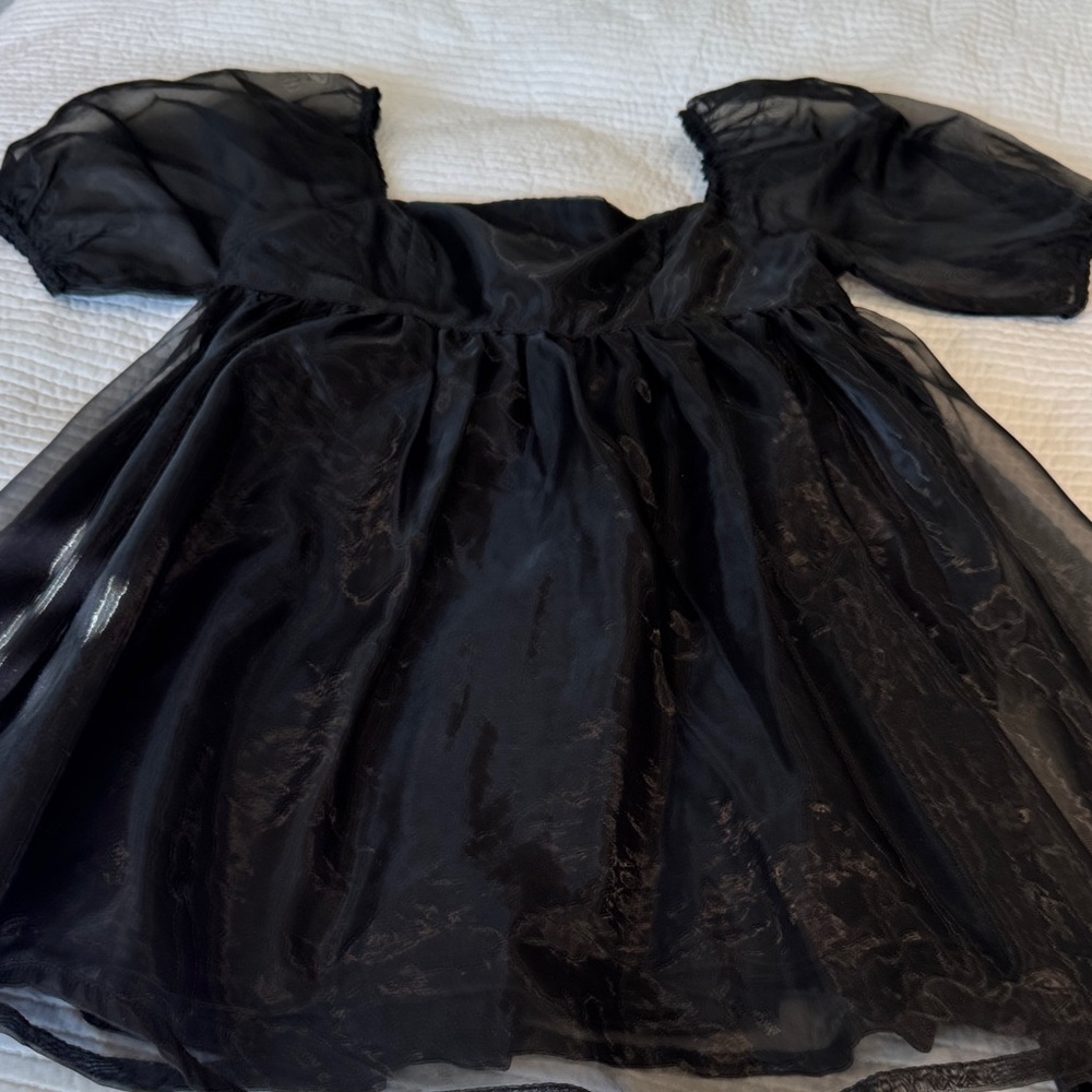 TCEC Black Sheer Dress with Puff Sleeves
